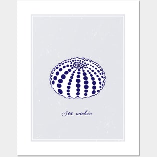 White and blue Sea Urchin. Realistic sea life drawings. Posters and Art